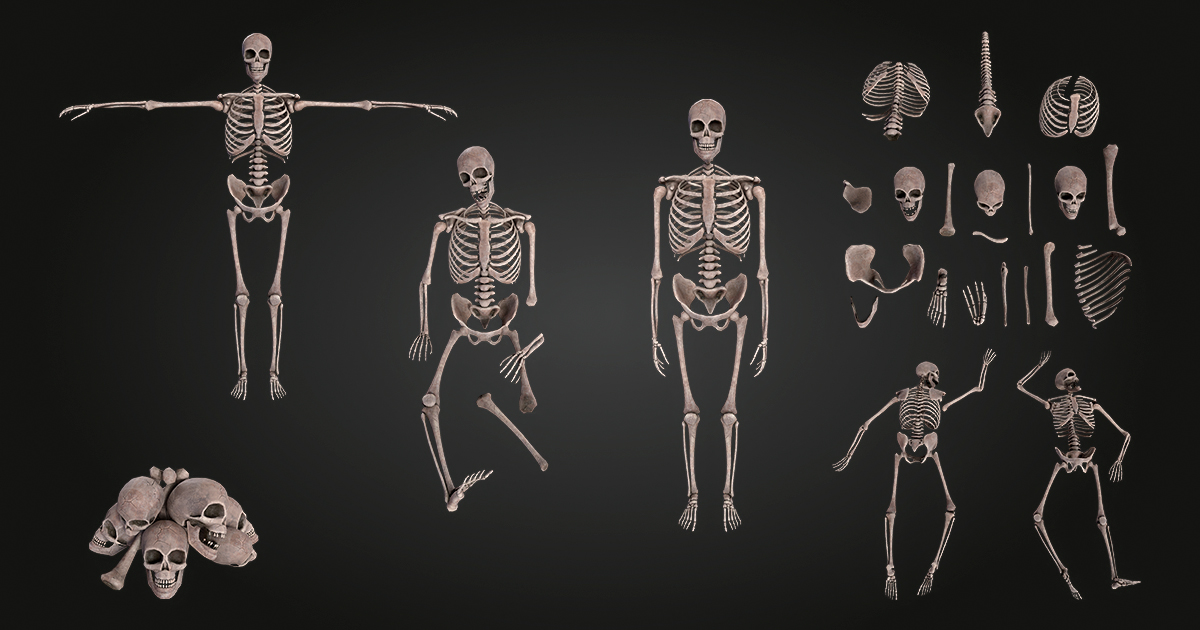 Bone Model Unity Skeleton Bone Vol. 1 | 3D 道具 | Unity Asset Store