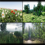 Environment Vegetation - Bundle 2
