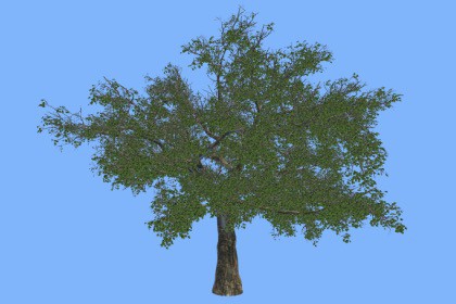 Verdant Legacy: Realistic Tree