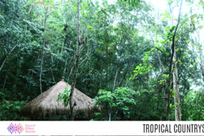 Tropical Countryside Ambience