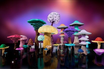 Fantasy Mushrooms