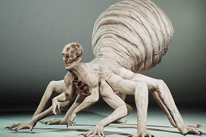 Spider monster 1