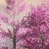 Mobile Tree Bundle 3