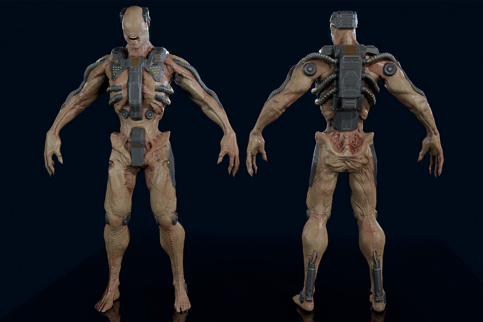 Asset Screenshot 1