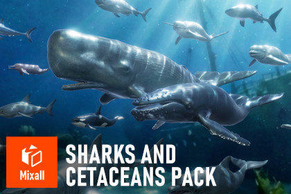 Sharks and Cetaceans Pack