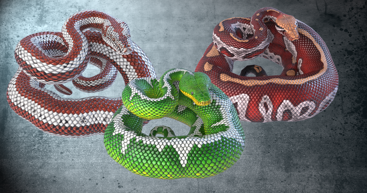 Animated Pythons PBR Volume 2 | 캐릭터 | Unity Asset Store