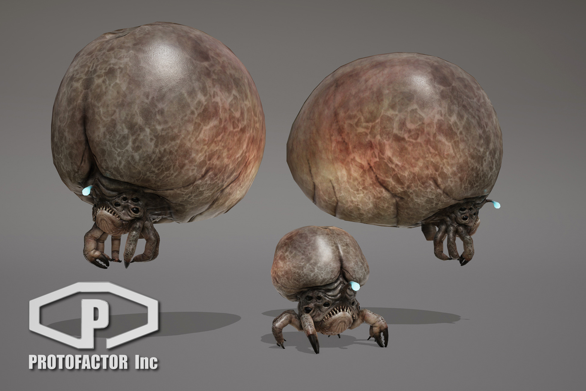 MONSTER: FUNGLICANE