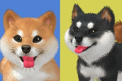 Cute Dog - Shiba Inu