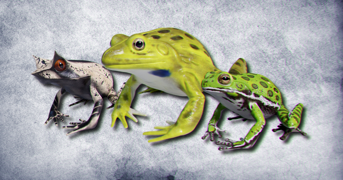 Animated Frogs Volume 4 | 3D Animals | Unity Asset Store