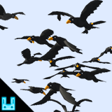 Bird Particles 2026