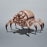 Disgusting Spider Monster