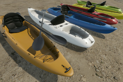 Kayak