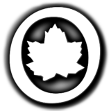 Skog: Temperate