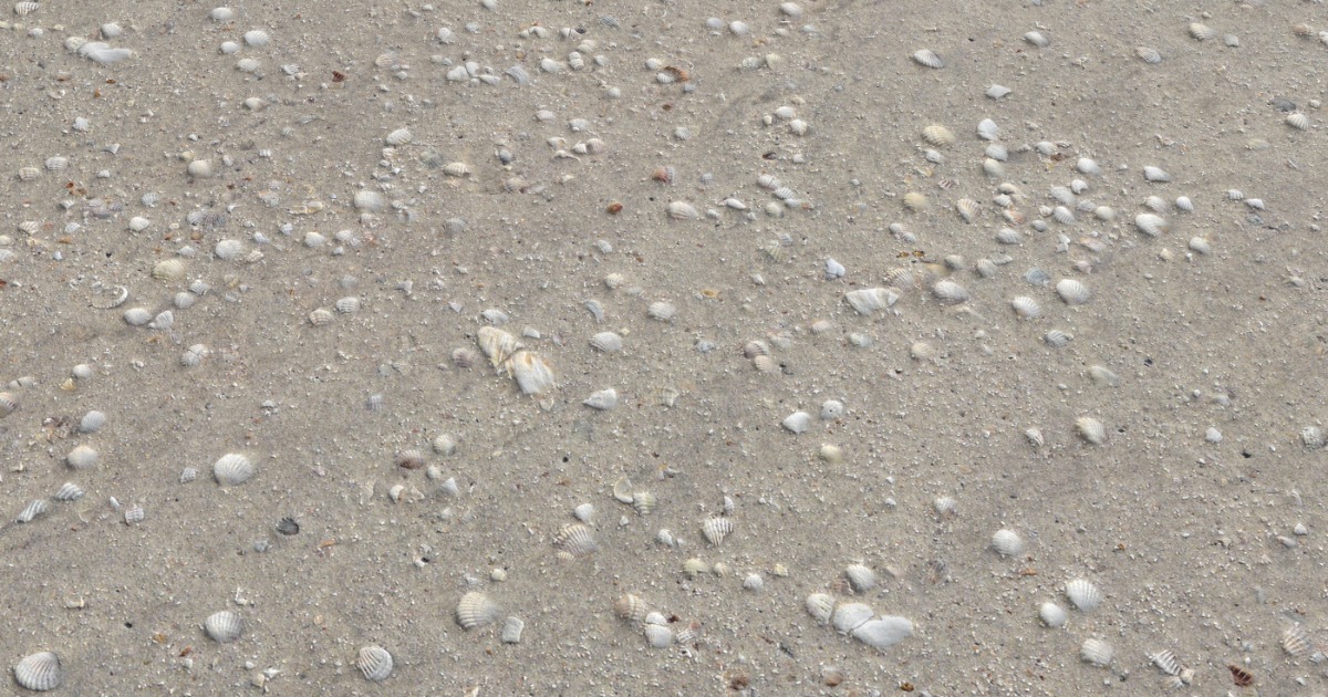 Ground terrain beach PBR pack 1 | 2D Textures & Materials | Unity Asset ...
