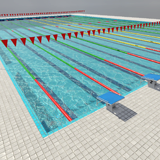 Swimming Pool : Olympic Pool