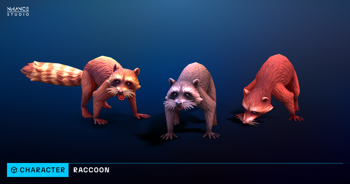Stylized Raccoon | 3D Animals | Unity Asset Store