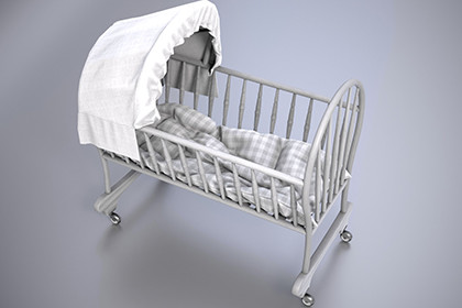 Modern Baby Cradle with Canopy