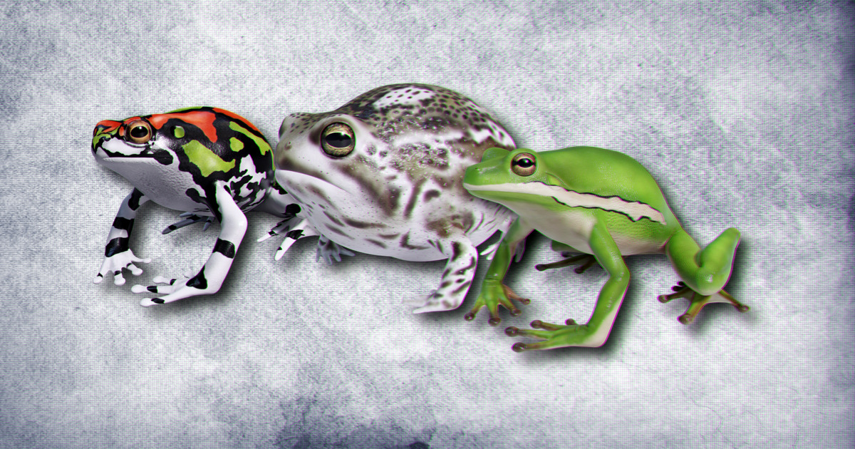 Animated Frogs Volume 3 | 3D Animals | Unity Asset Store