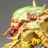 Insect