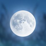 2D Platformer Graveyard