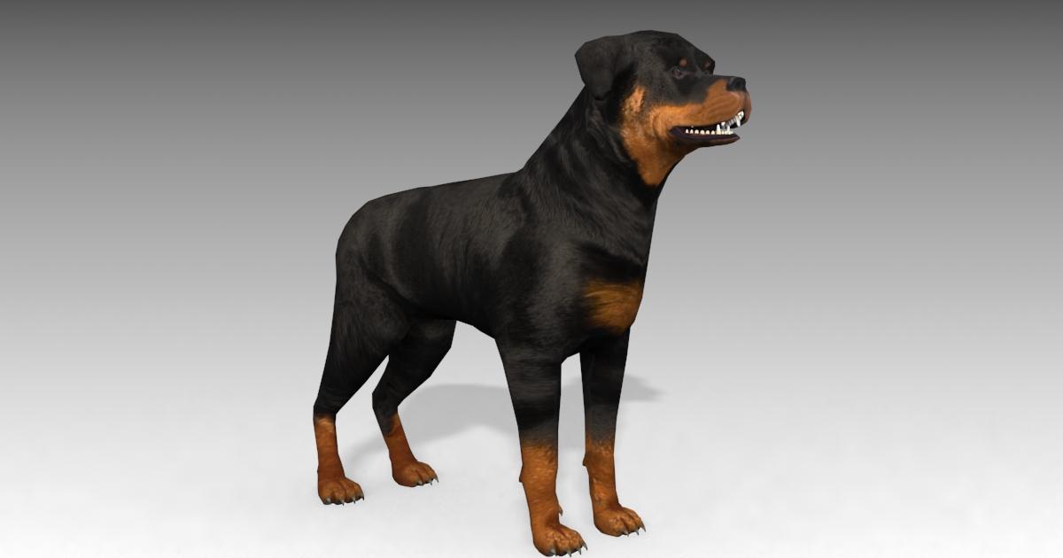 Rottweiler Animated | 캐릭터 | Unity Asset Store