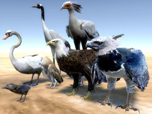 7 Birds Pack | Characters | Unity Asset Store