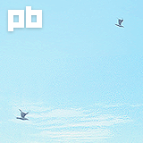 Birds Animated