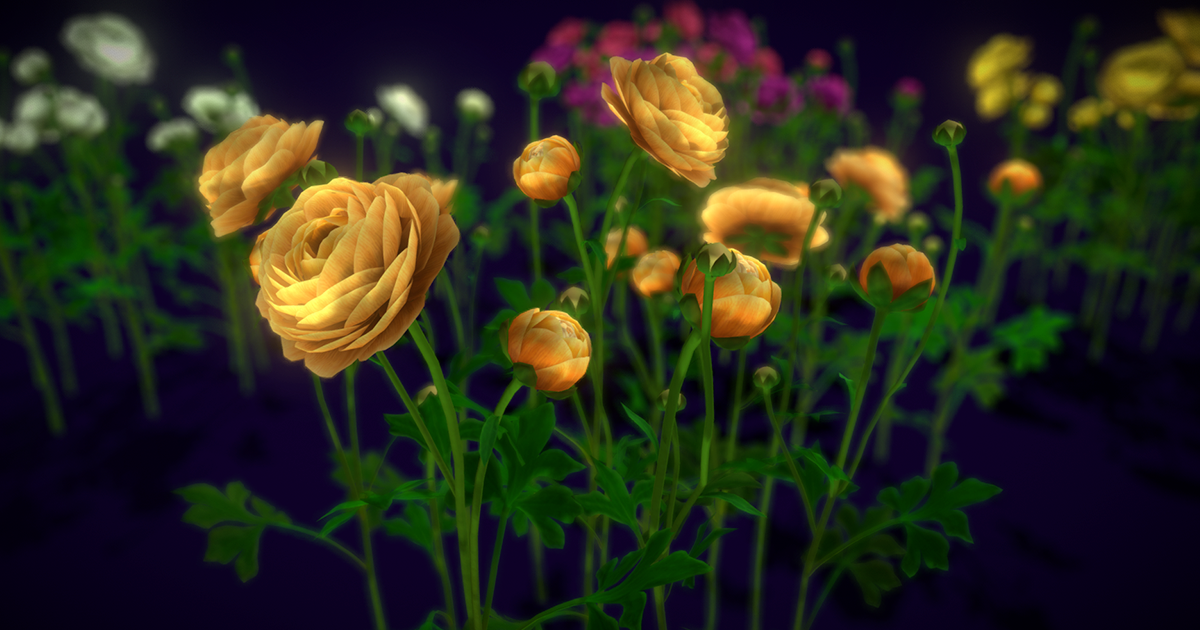 Flower Ranunculus | 3D Flowers | Unity Asset Store