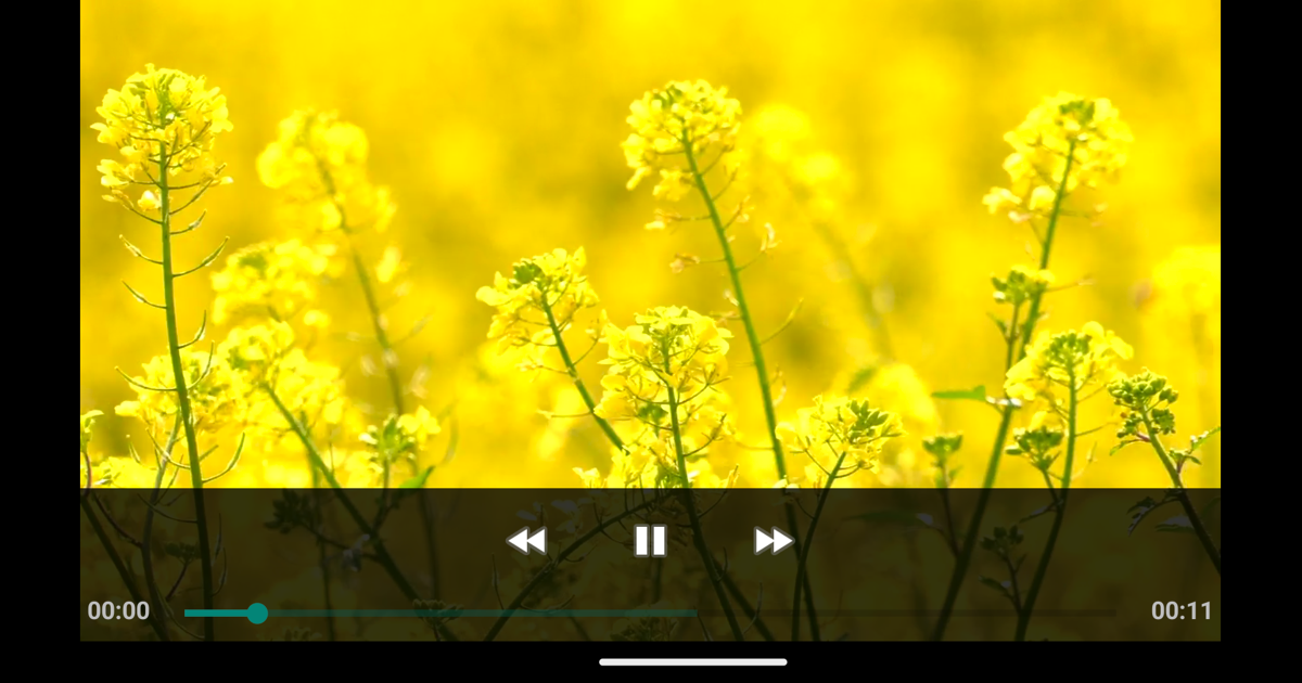 Native video player android video unity asset store