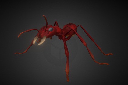 Ant Worker