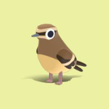 Northern Wheatear - Quirky Series