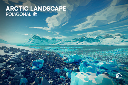 Arctic Landscape Polygonal