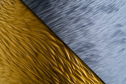 Fur Texture & Material Vol. 01