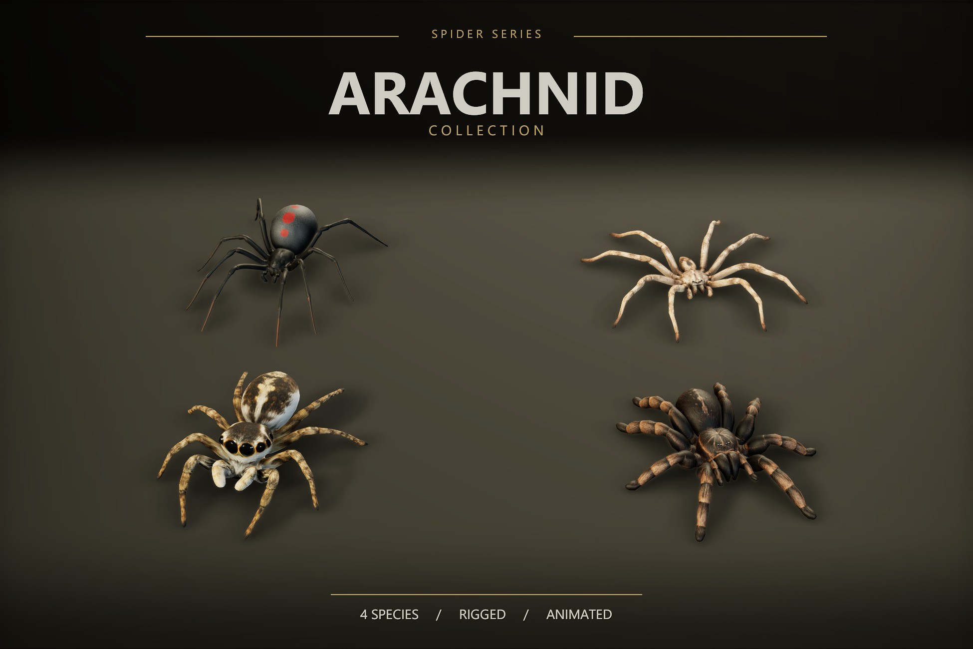 Arachnid Collection — 4 Animated Spiders