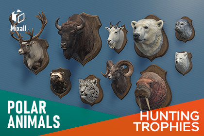 Polar animals – Hunting trophies