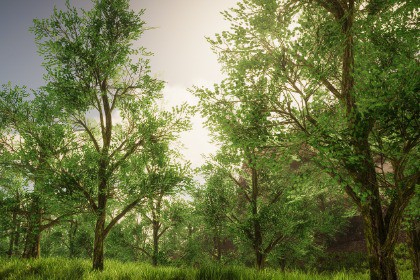 HDRP Tree Pack #8