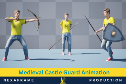 Medieval Castle Guard Animation