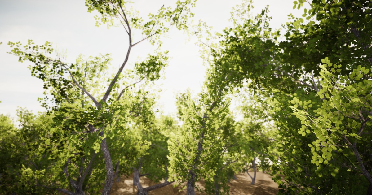 Tree Collection Pack 3 | 3D Trees | Unity Asset Store