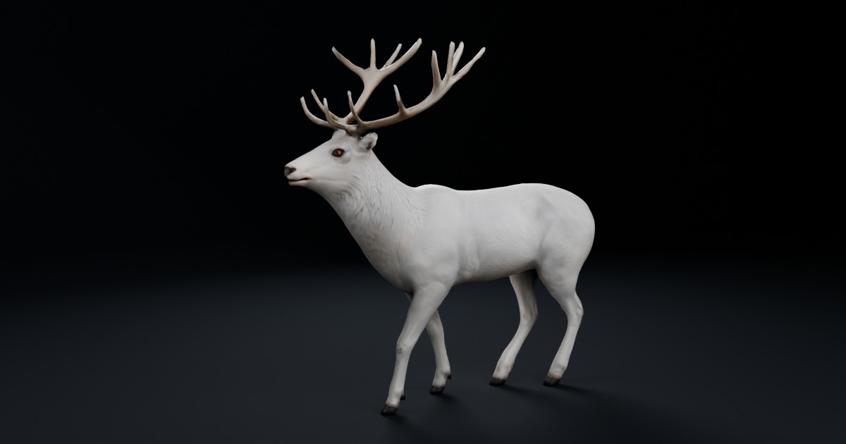 White Deer Stag – Rigged & Animated | Characters | Unity Asset Store