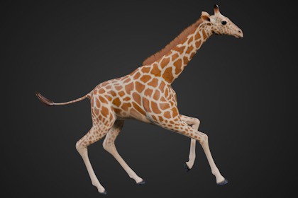 Animated Giraffe