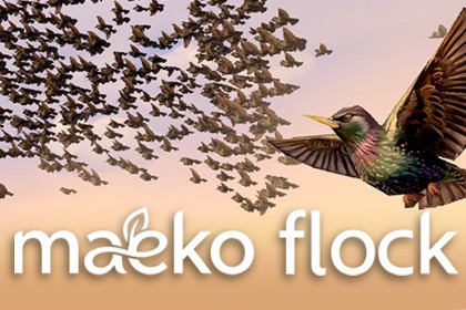 Maeko Flock - Starling Bird Murmuration