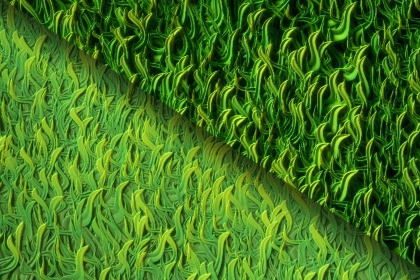 Grass (Green Plain) Texture & Material Vol. 02