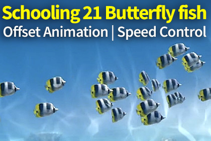 Schooling Butterfly Fish