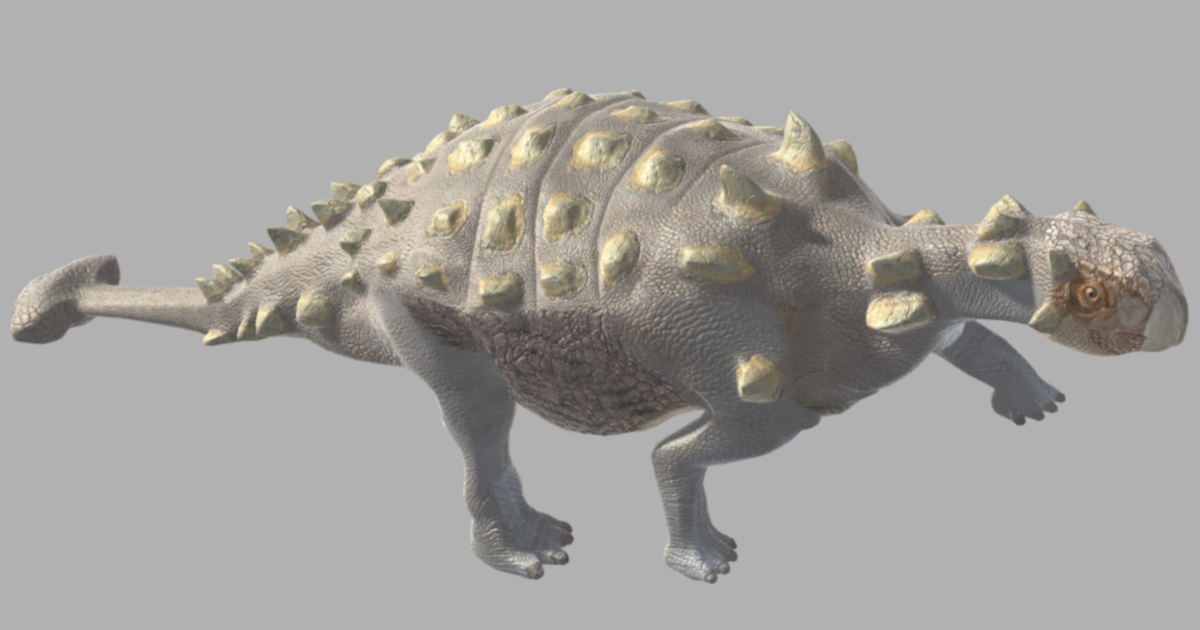 Ankylosaurus pack | Characters | Unity Asset Store