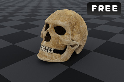 Free Skull Asset