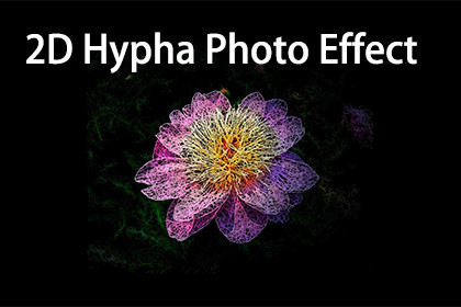 2D Hypha Photo Effect By maything