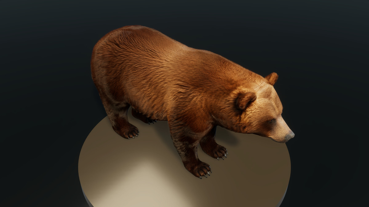 Forest Predators Collection - Realistic Animated Animals