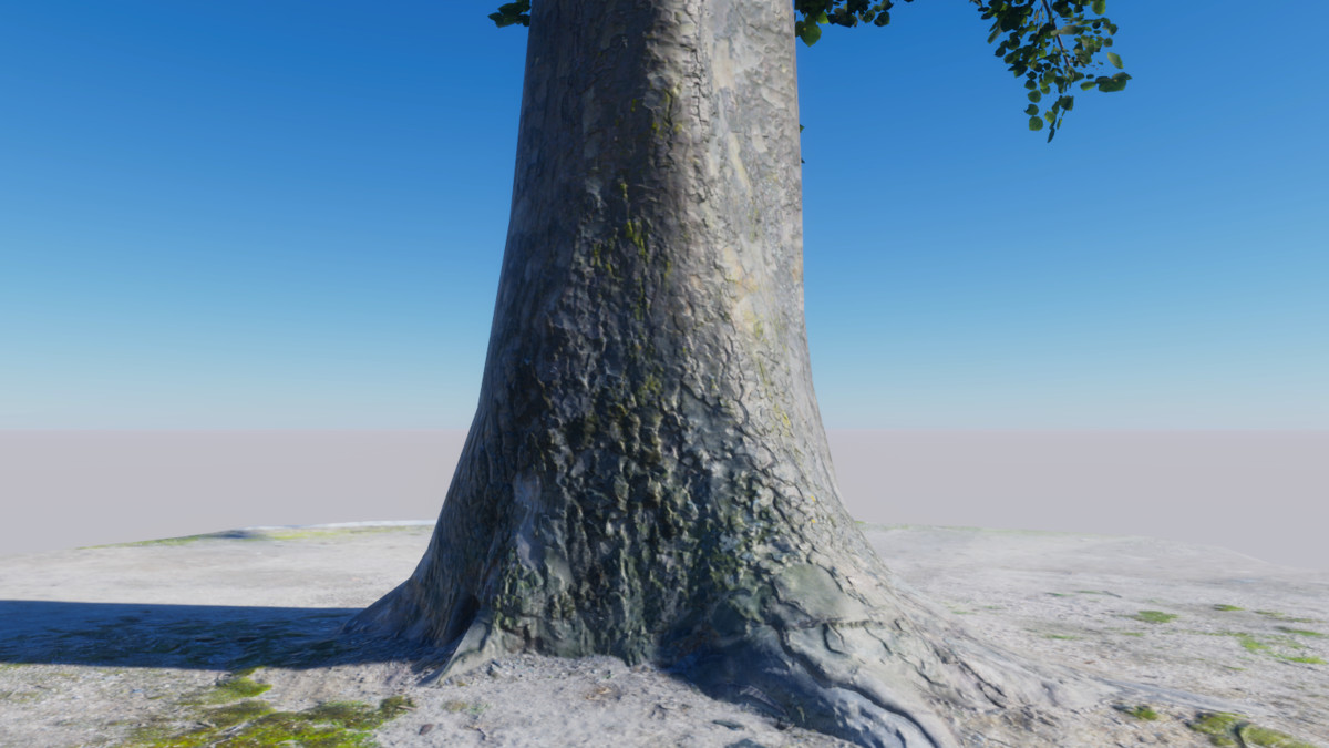 TimberGEN