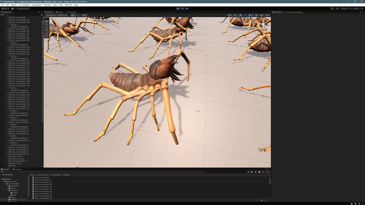 Solifugae Camel Spider, animated and modular monster insect with skins & shader.