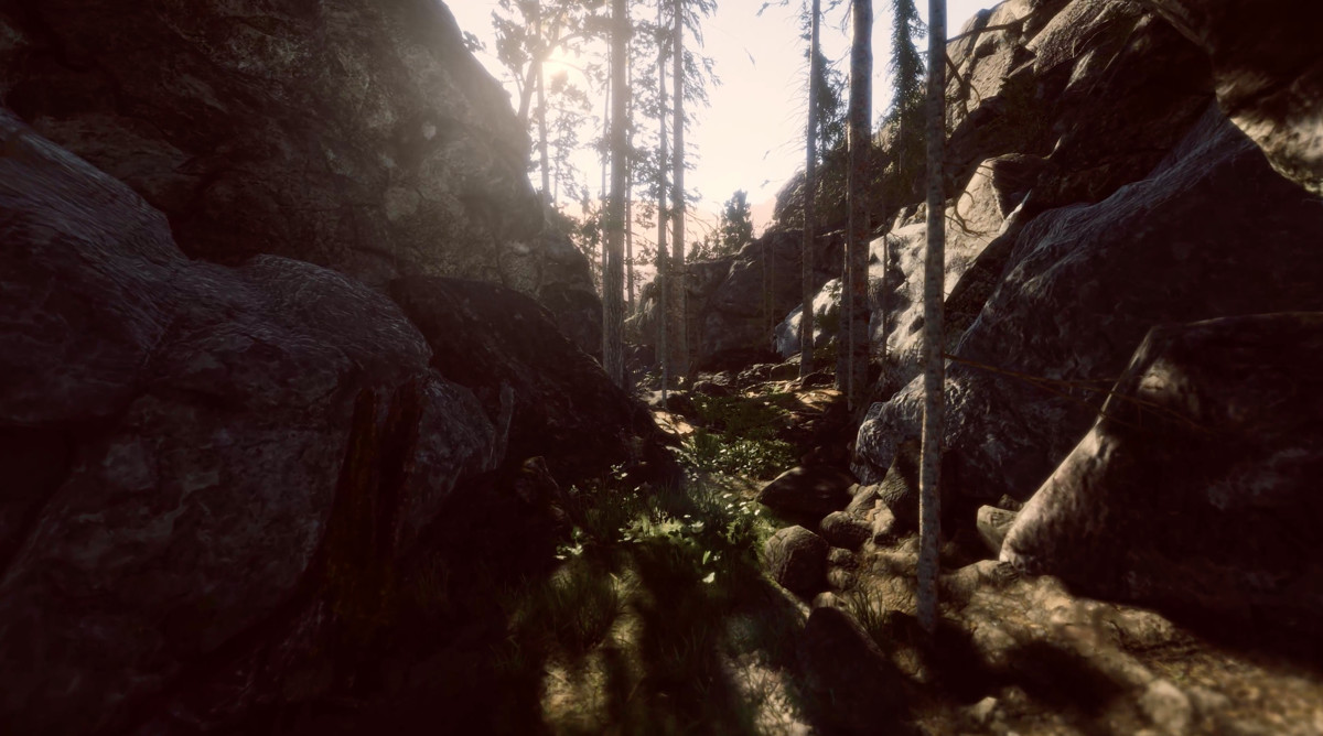 Book of the Dead Forest - URP - Fantasy RPG